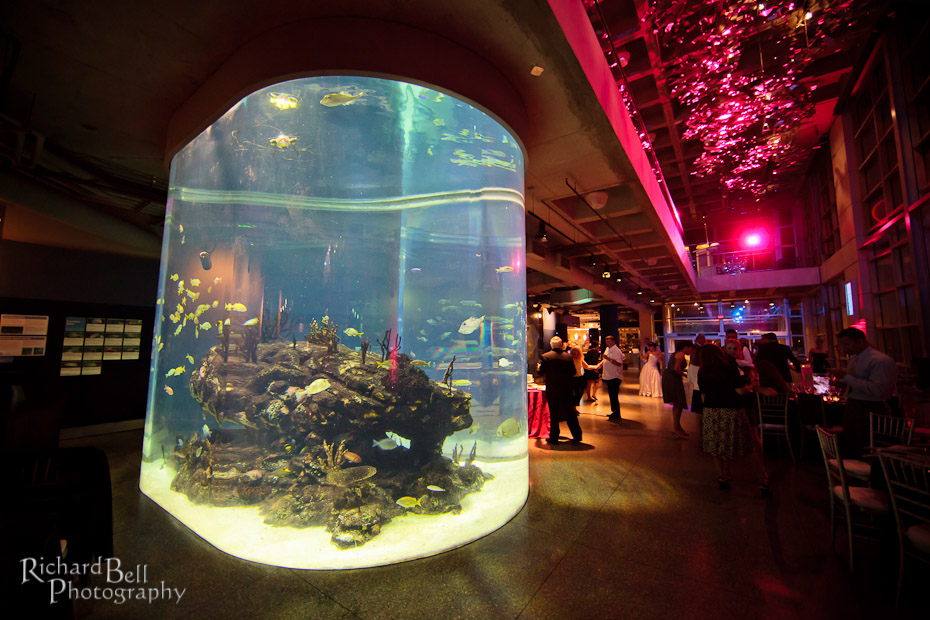 Rich Bell Photography South Carolina Aquarium Wedding by Charleston