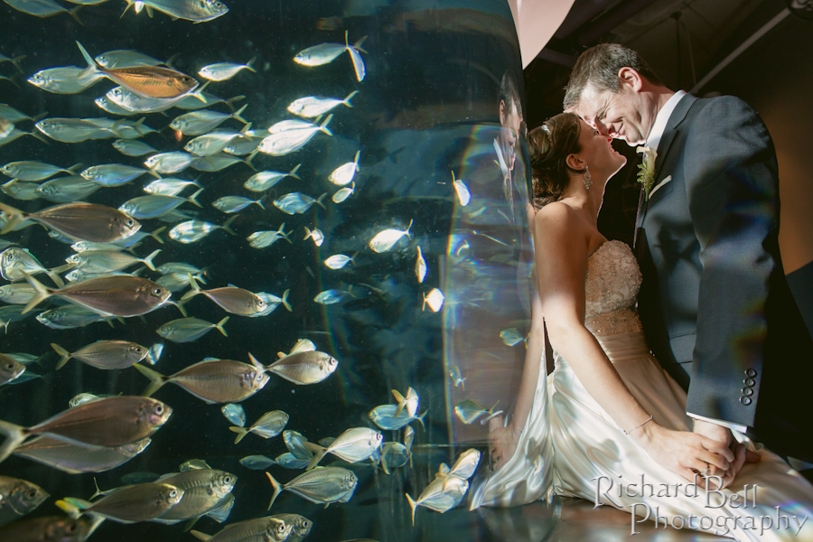 Rich Bell Photography Wedding Photography at Hampton Park and the SC